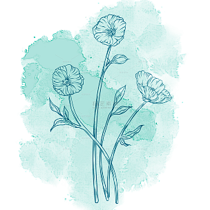 青色水彩线稿花卉元素