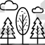 Evergreen Trees