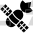 Satellite
