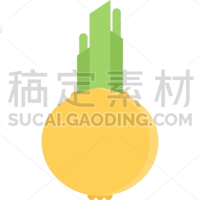 Onion, Cooking, Food, Orange, Product, Shop, Supermarket