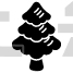Pine Tree