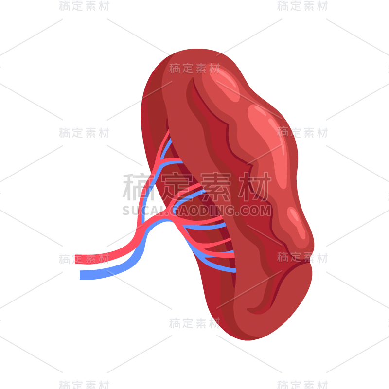 身体器官贴纸1