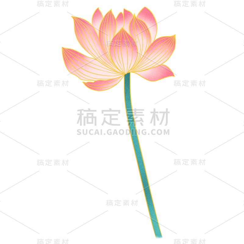 荷花2