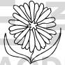 Flower Design
