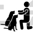 Dog Show