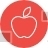 Apple, Fruit, Teaching, Study, Basic, School