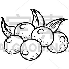 Loquats