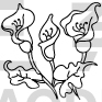 Flower Design