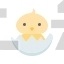 chick