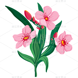 手绘-清新花卉植物元素贴纸3