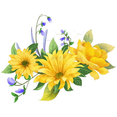 清新黄色菊花元素