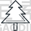 Pine