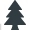 Pine tree
