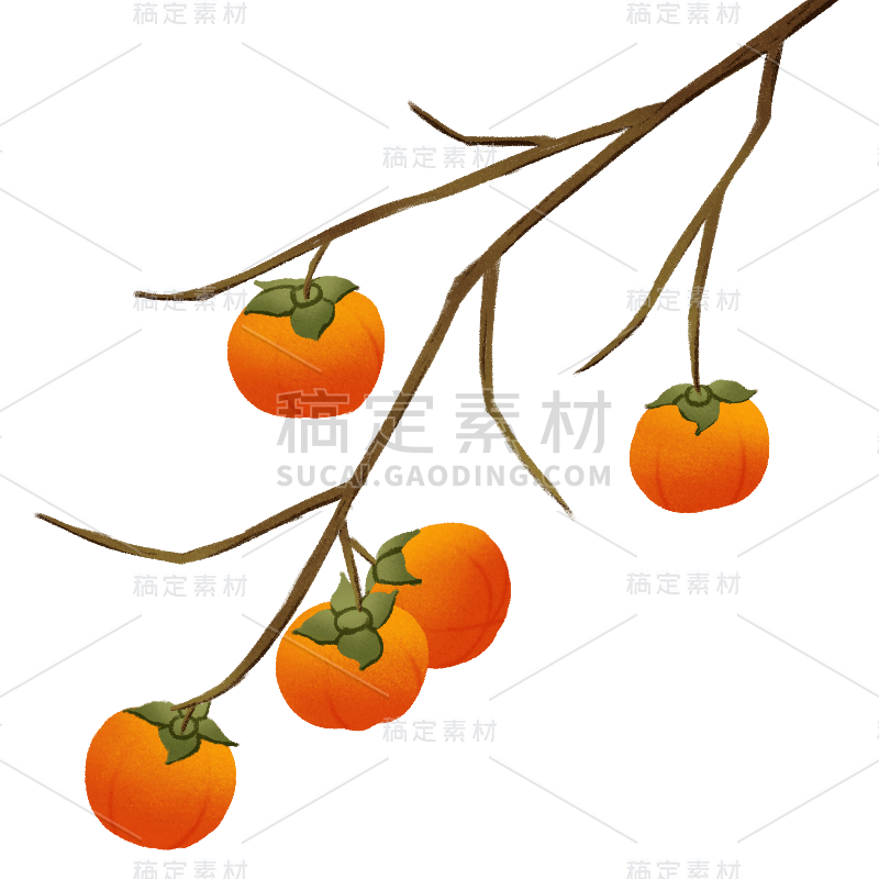 手绘-秋天季节元素贴纸svg-柿子