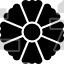 Aster