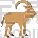 Antelope