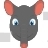 Baby Elephant