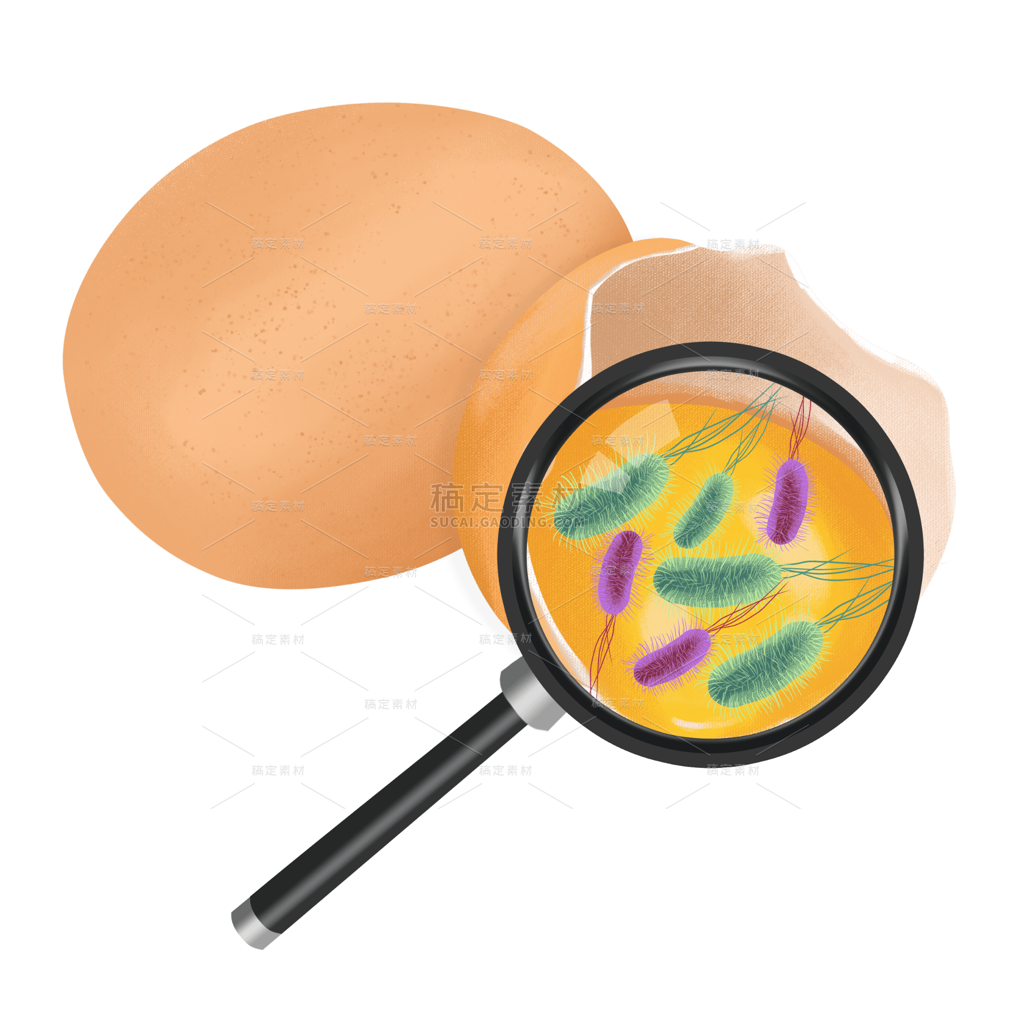 手绘-食品卫生医疗元素贴纸-鸡蛋