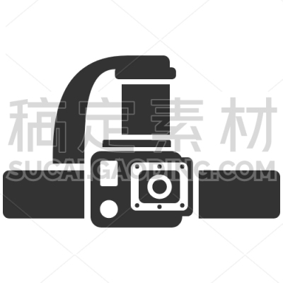 Head Camera