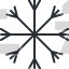 Snowflake