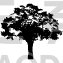 Eco Tree Design