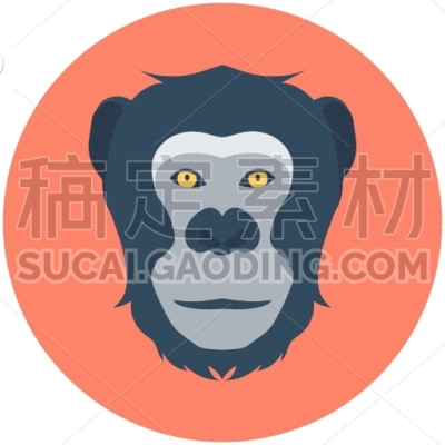 Baboon