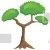Pitch Pine Tree