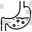 Stomach