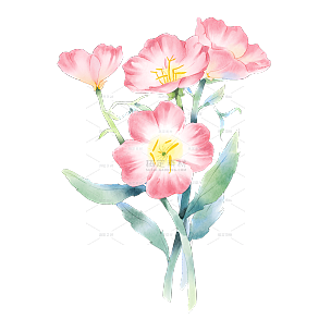 手绘水彩粉色花朵花卉元素