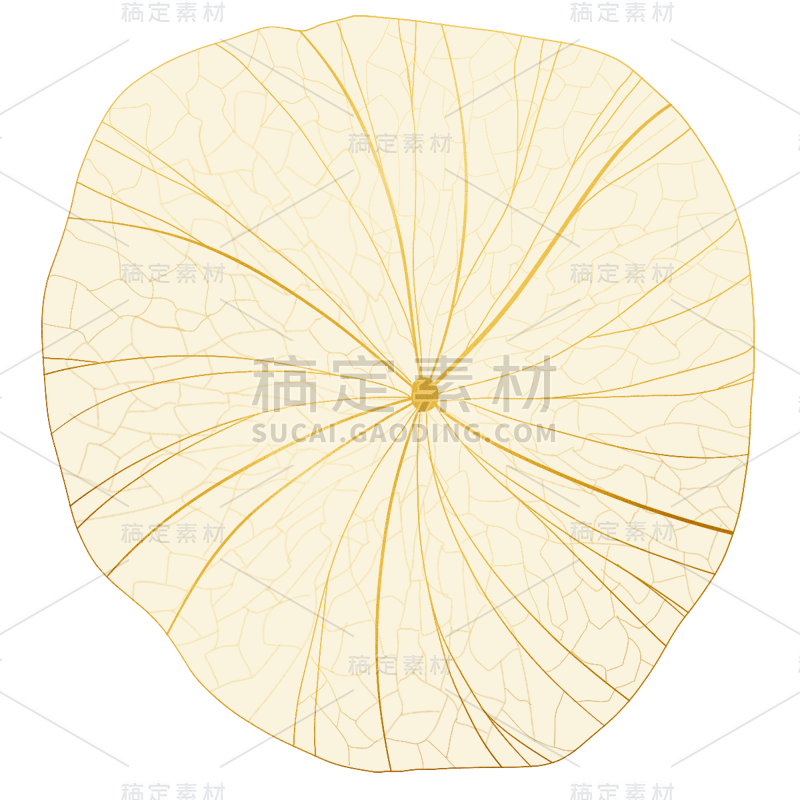 手绘-金箔植物元素