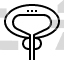 Prostate