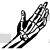 Hand Bones