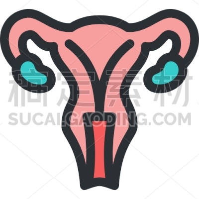 Uterus