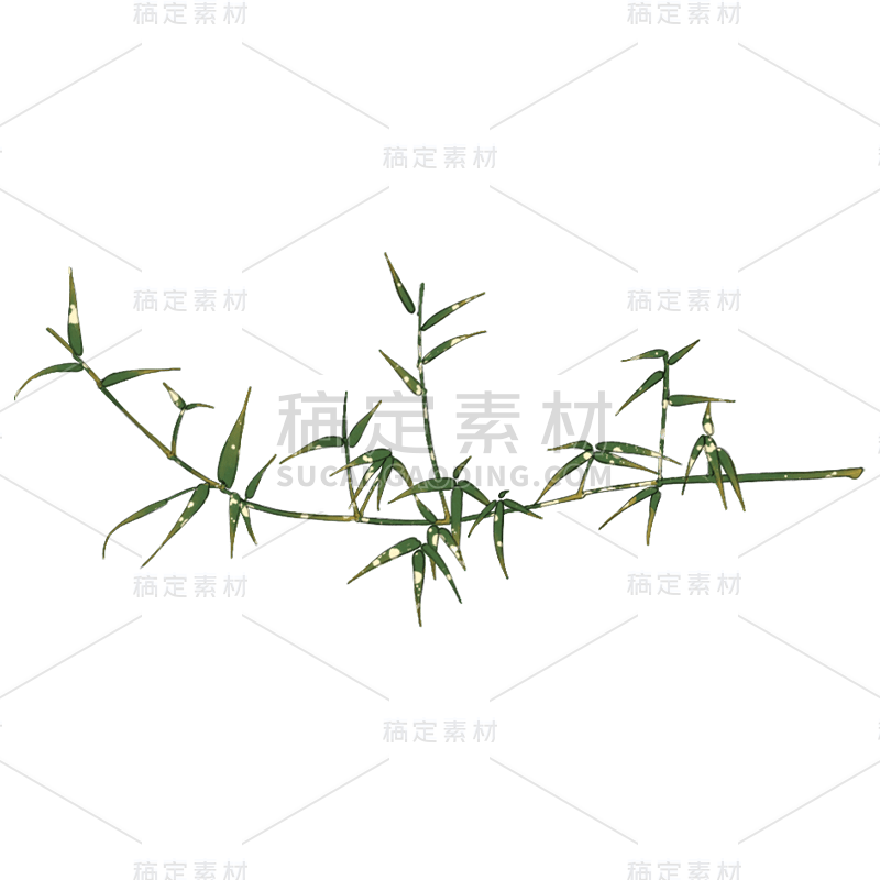 手绘-工笔画竹子植物贴纸1