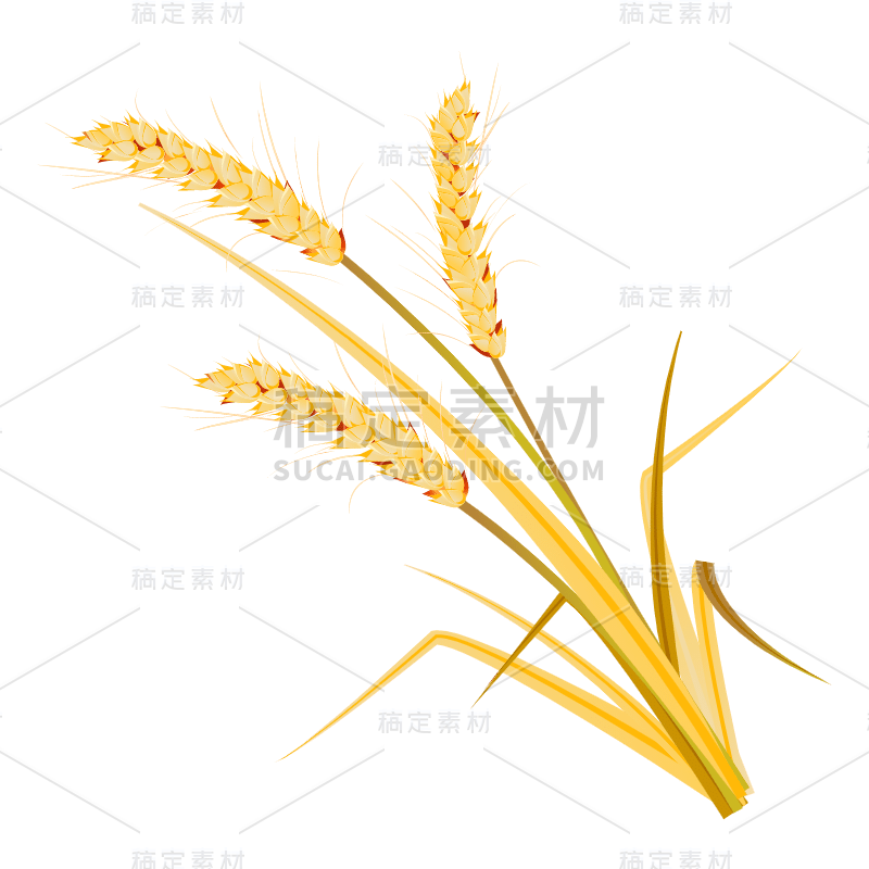 手绘-秋天元素贴纸-麦穗