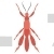 Arachnids