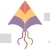 Kite