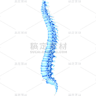 手绘-科技风人体骨骼医疗元素贴纸10