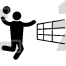 Volleyball
