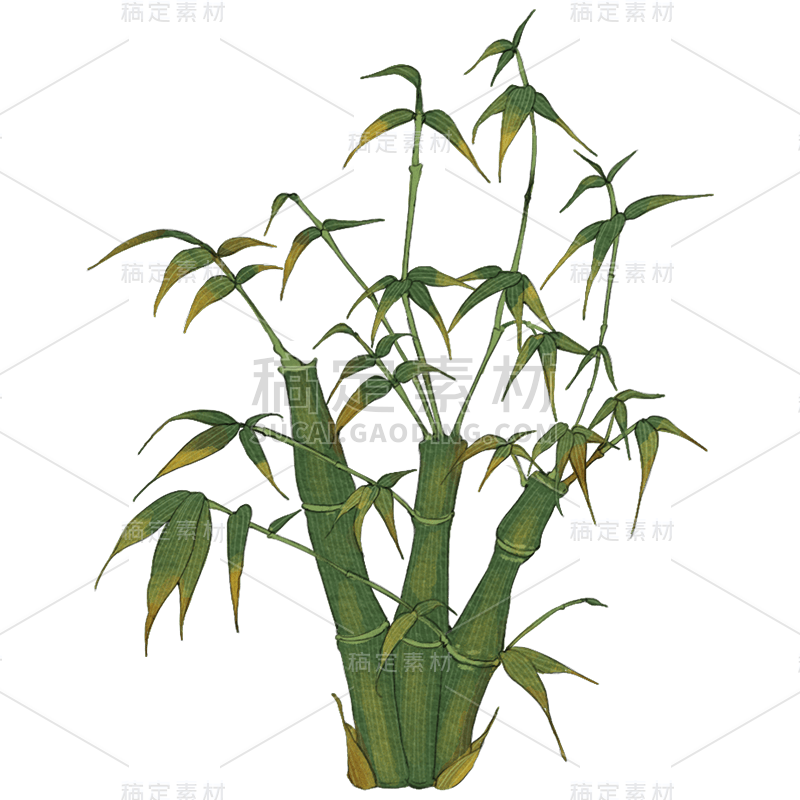 手绘-工笔画竹子植物贴纸8