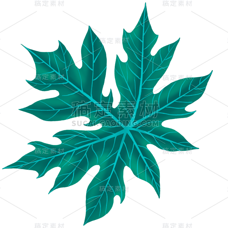 手绘-热带动植物贴纸-木瓜叶