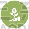 save plant