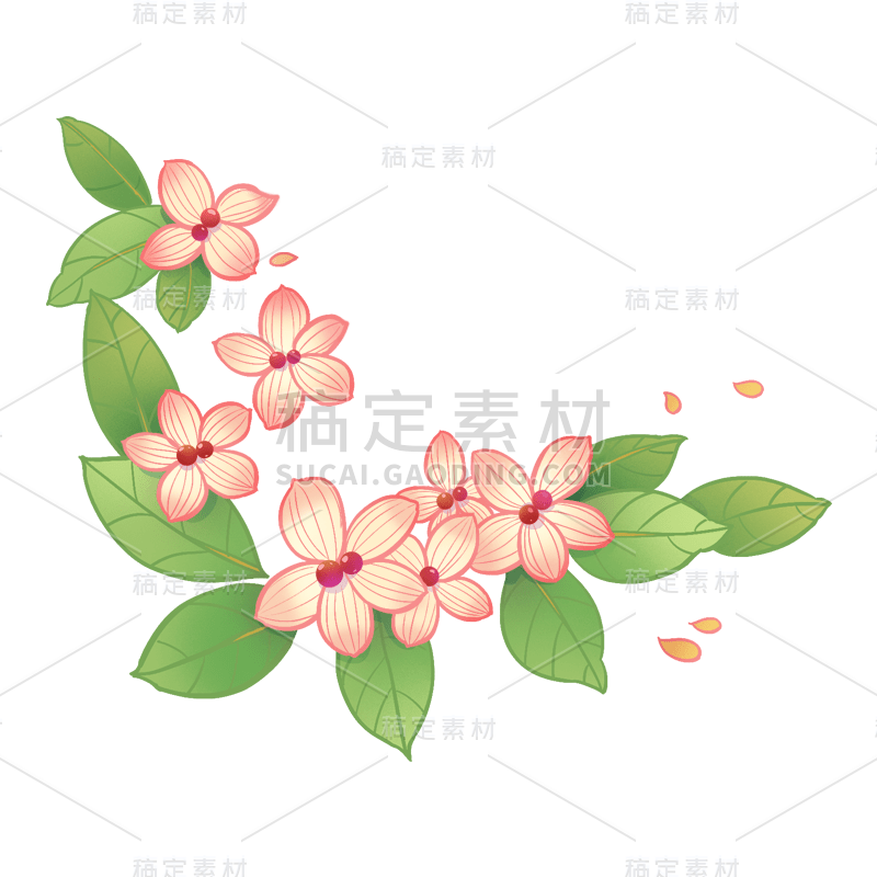 手绘-中国风植物插画-花卉