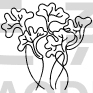 Flower Design