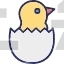 Broken egg