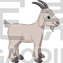 Antelope