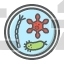 Petri