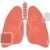 Lungs