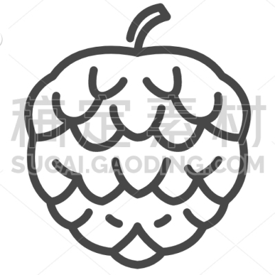 Custard Apple