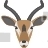 Gazelles